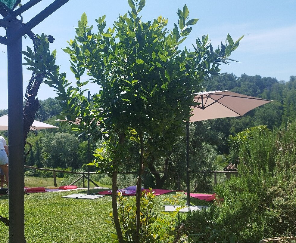 Agriturismo Casa Garello主图