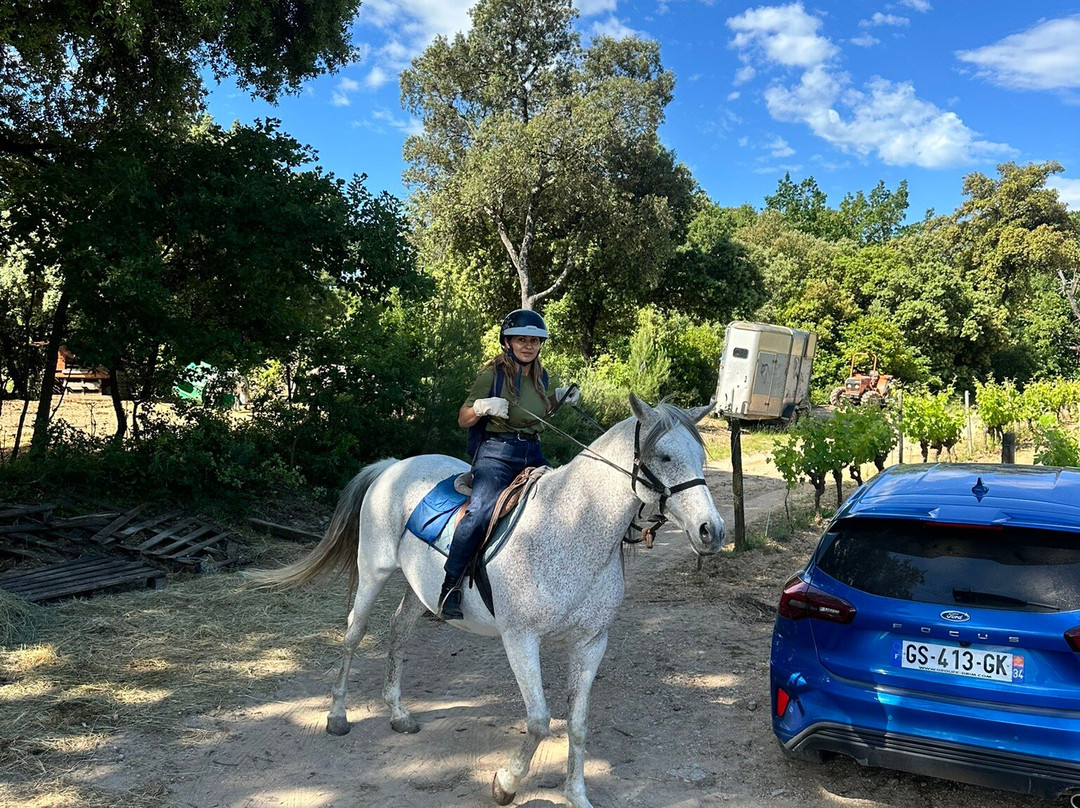 Horse Aventure-Saint-Bauzille-de-Montmel必去景点