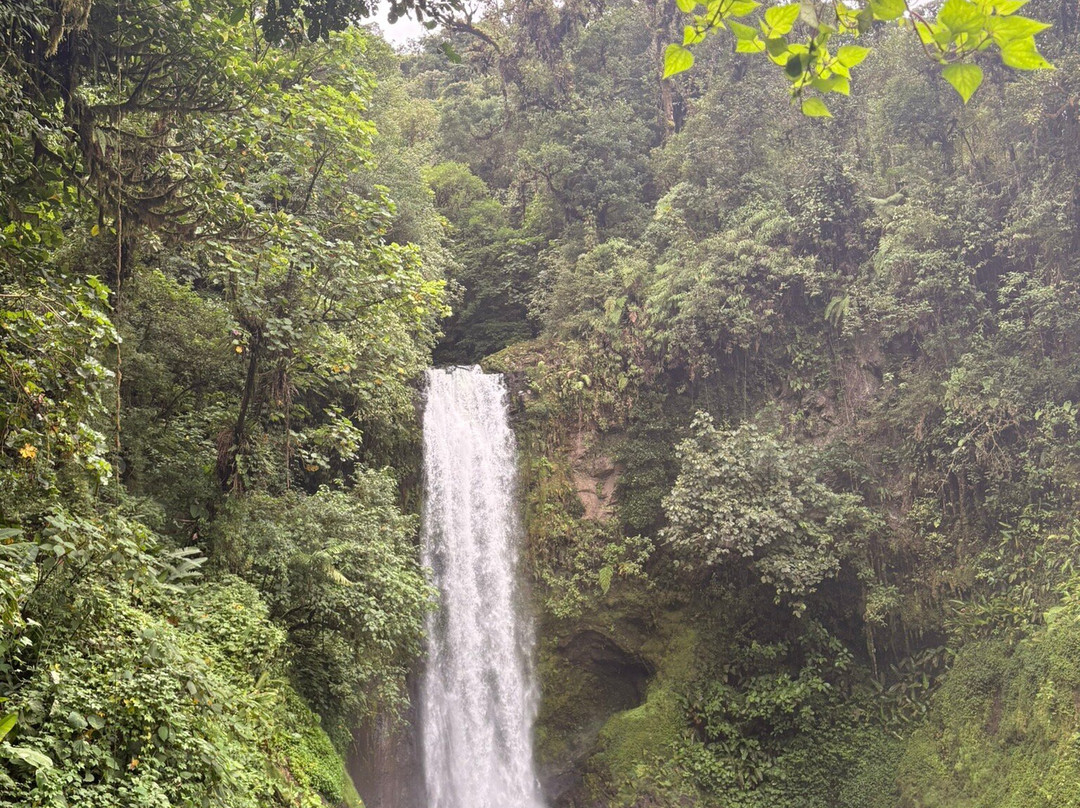 Costa Rica Driver - Tours-圣何塞必去景点