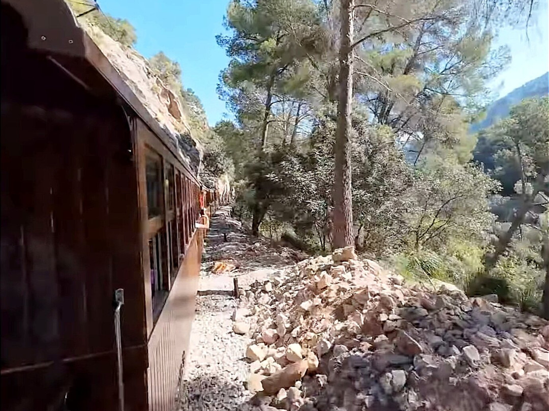Tram de Sóller-索列尔港必去景点