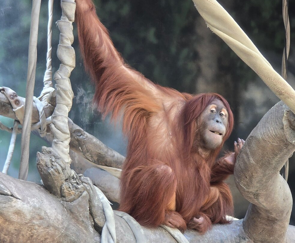 Fort Wayne Zoo-韦恩堡必去景点