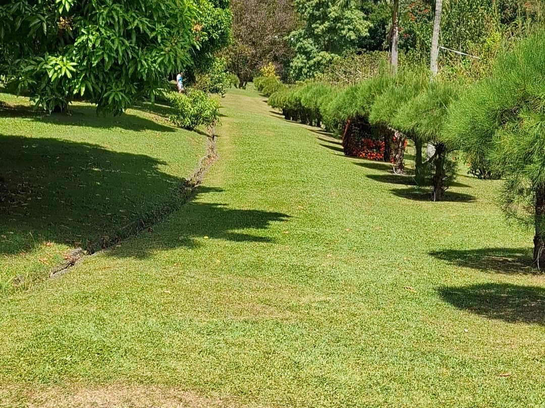 Scarborough Botanical Garden-斯卡伯勒必去景点