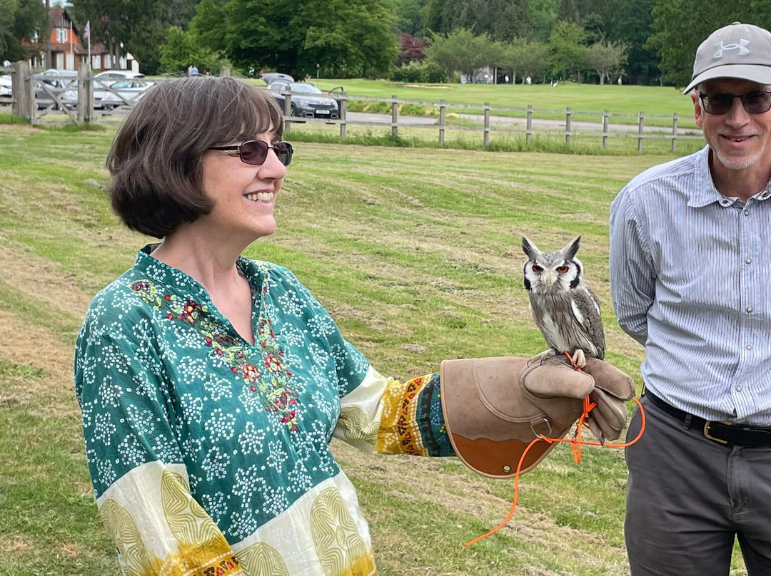 Surrey Hills Falconry-Ockley必去景点