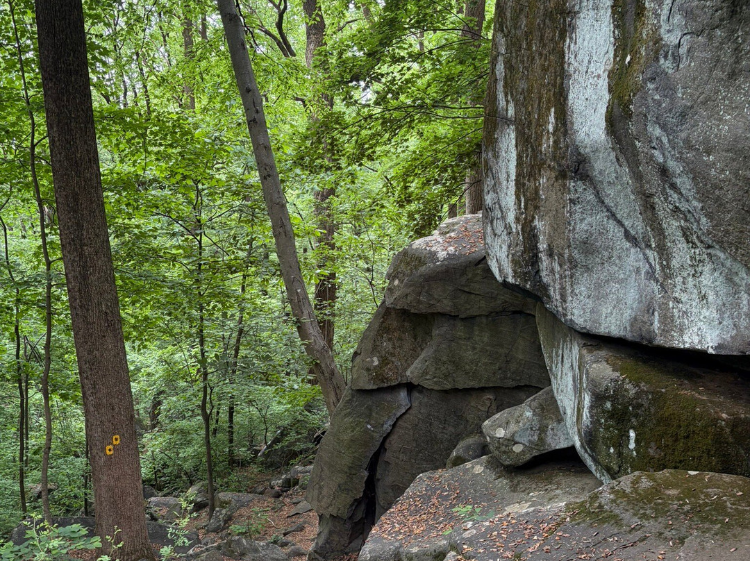 Sourland Mountain Preserve-希尔斯伯勒必去景点