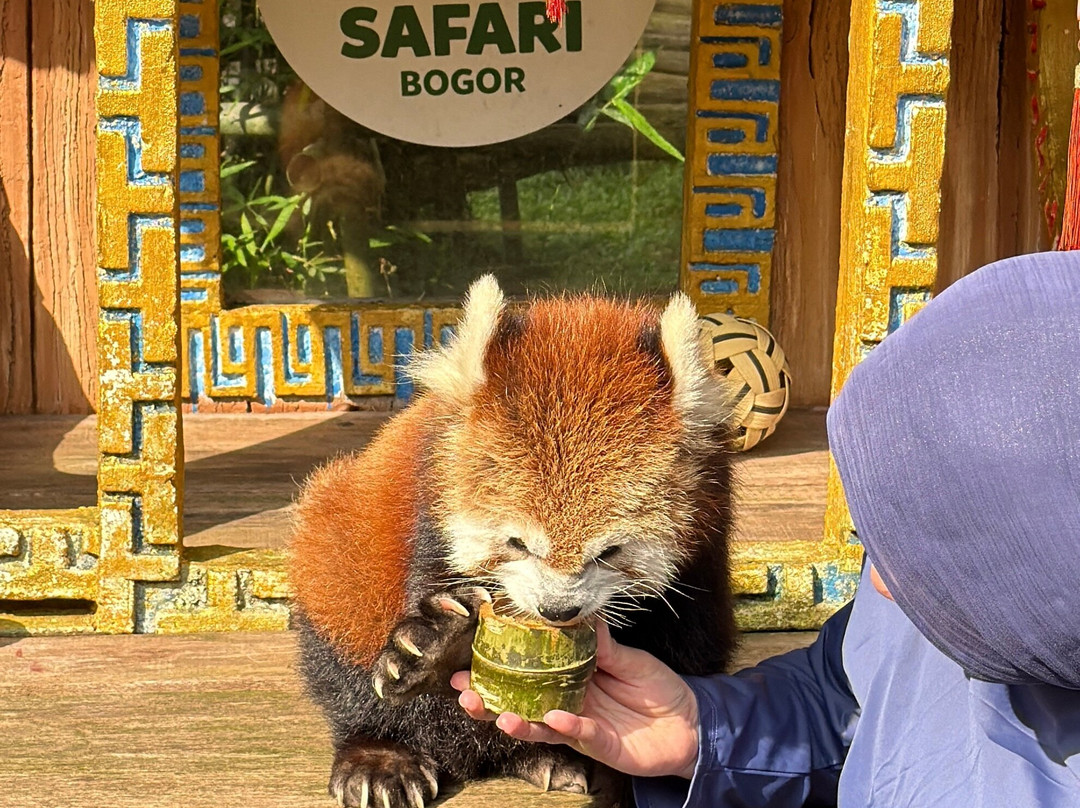 Taman Safari Indonesia Bogor-Cisarua必去景点