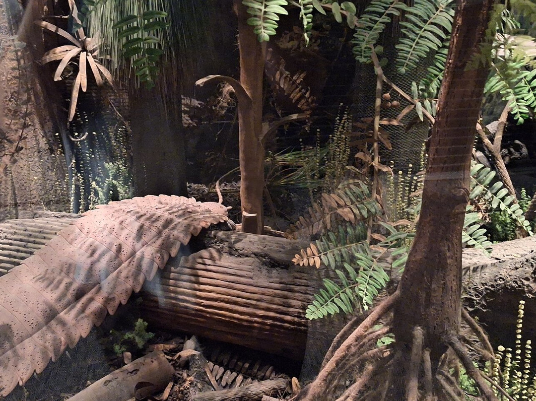 Mountain America Museum of Ancient Life-李海必去景点