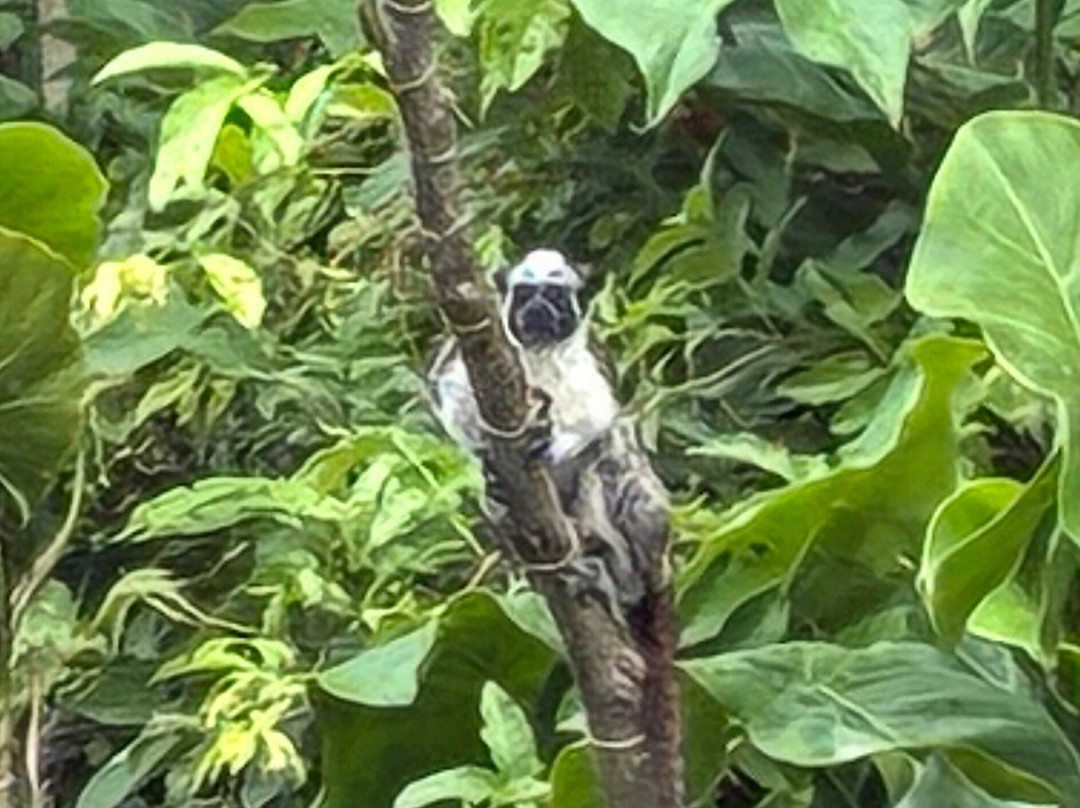 Panama Day Trips- Canal Eco Tours-巴拿马城必去景点