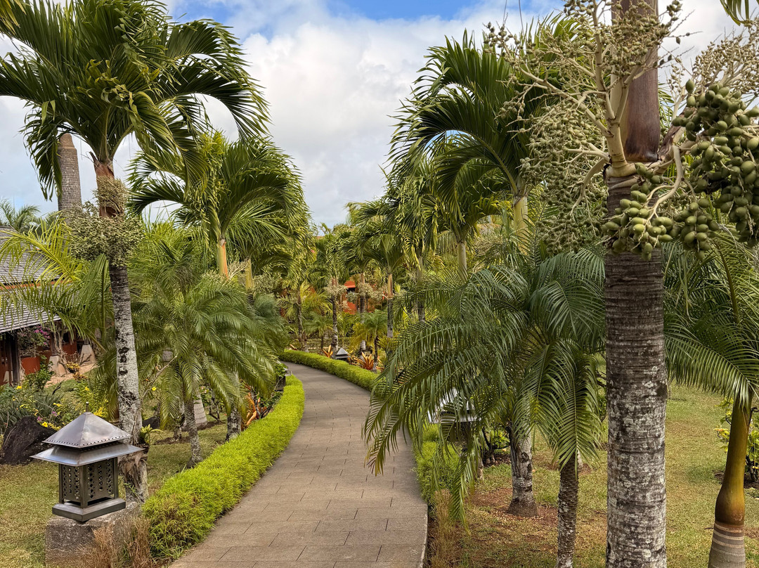 Rhumerie de Chamarel-沙马雷勒必去景点