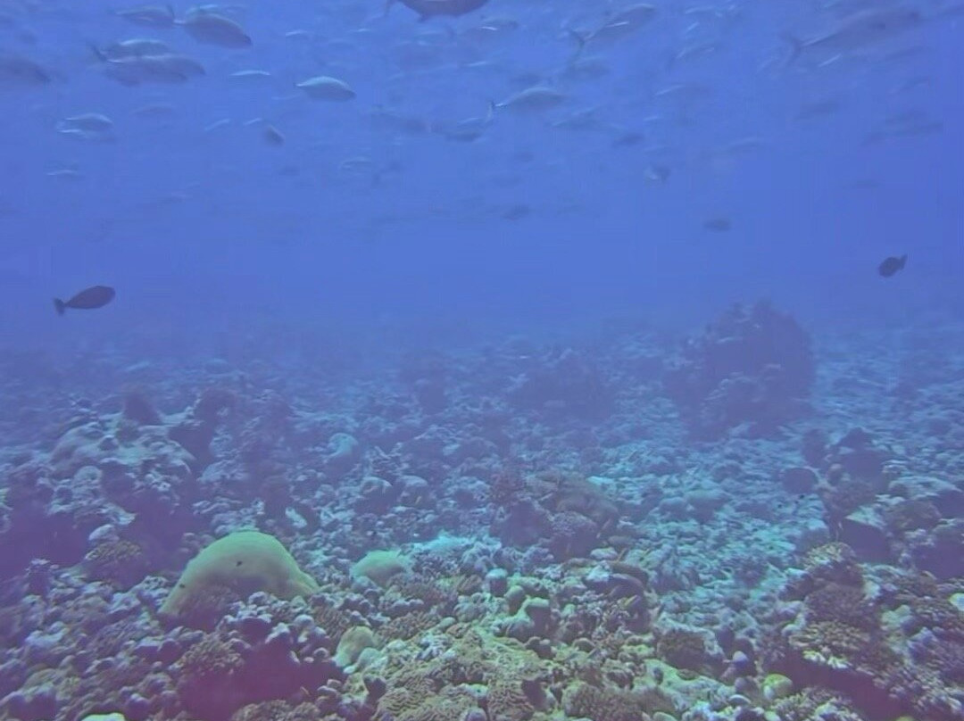 Addu Scuba Club-Hithadhoo Island必去景点