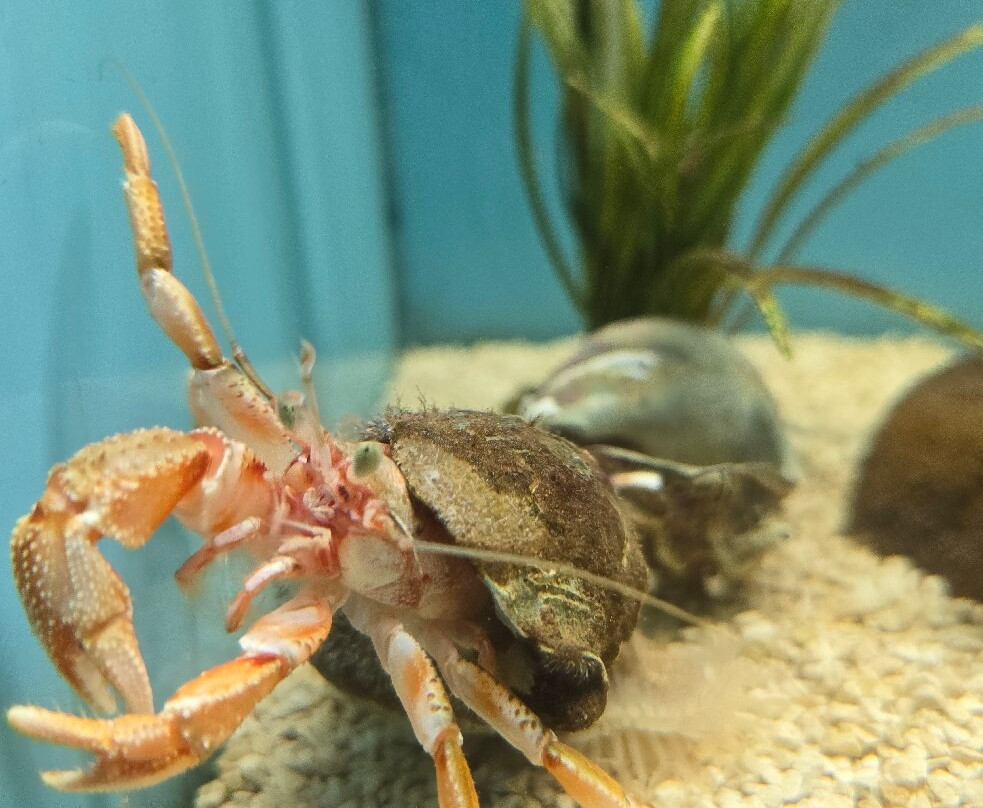 Lyme Regis Marine Aquarium-莱姆里杰斯必去景点
