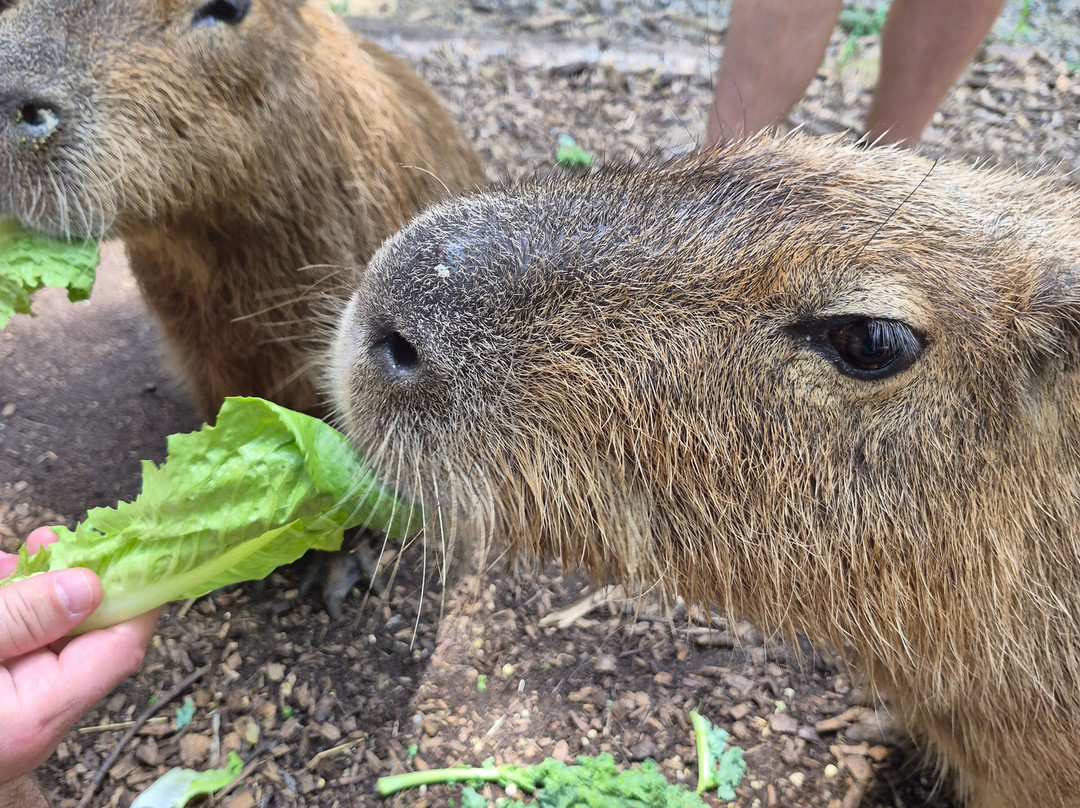 North Georgia Wildlife Park-Cleveland必去景点