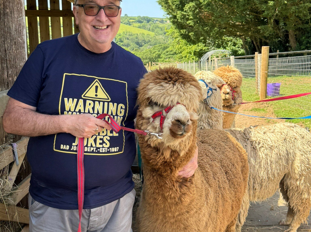 Popham Farm Alpaca Trekking-索尔塔什必去景点