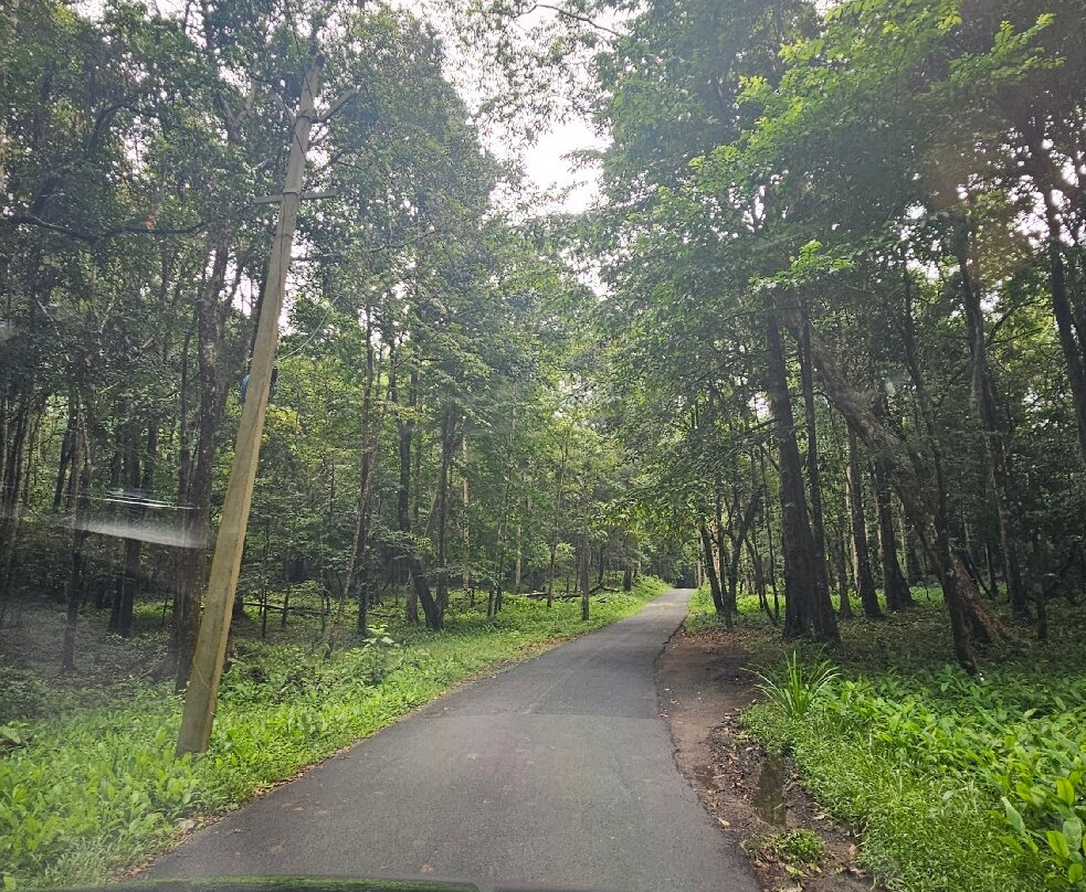 Jungle Bird Homestay主图