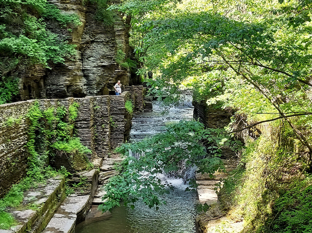 Robert Treman State Park-伊萨卡必去景点