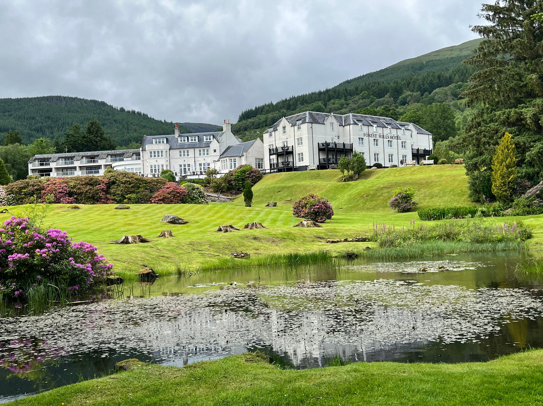 Forest Hills Hotel & Resort - Spa & Leisure