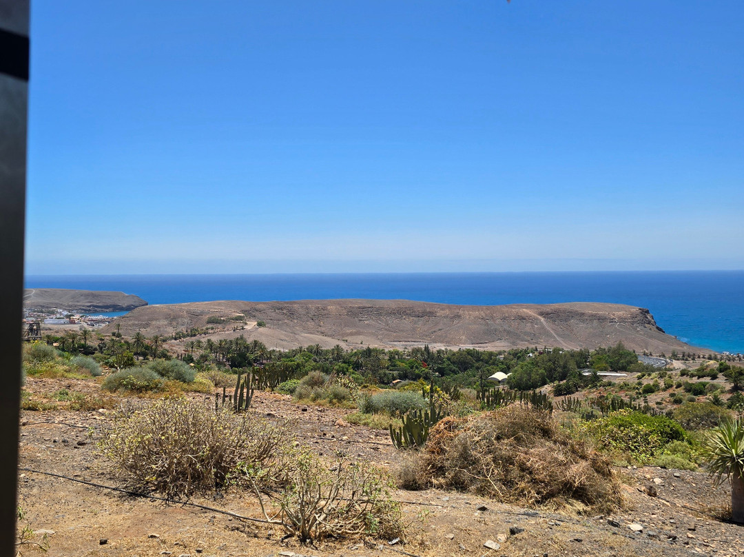 Oasis Park Fuerteventura-La Lajita必去景点
