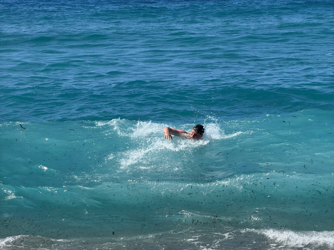 Aregno Beach-Aregno必去景点