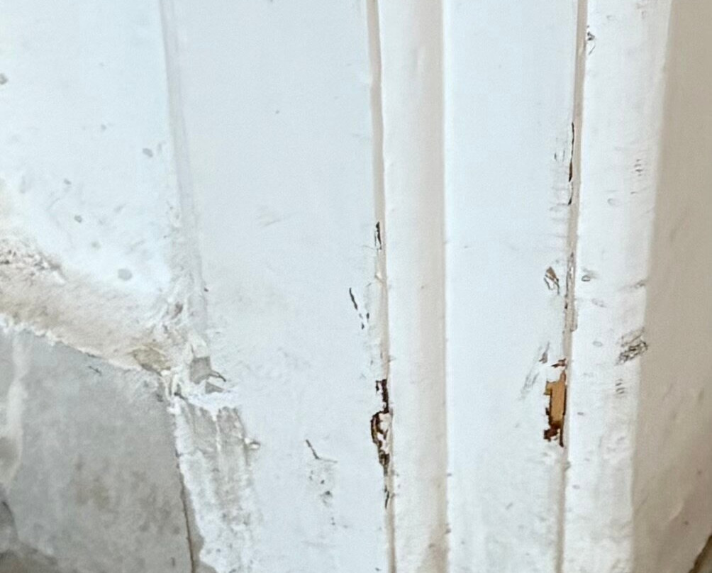 阿利亚松爱琴主图