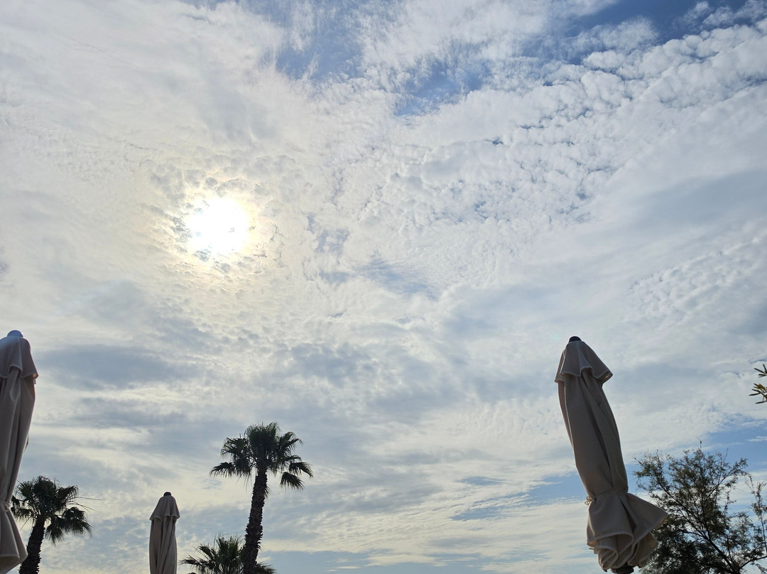 The Place Mar Mediterrania by Alegria 4 Sup Adults Only主图