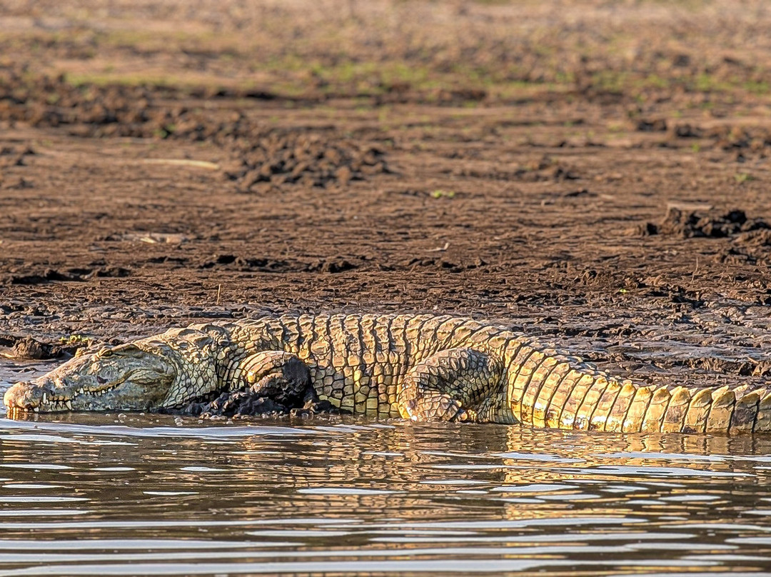 Msandile River Lodge主图