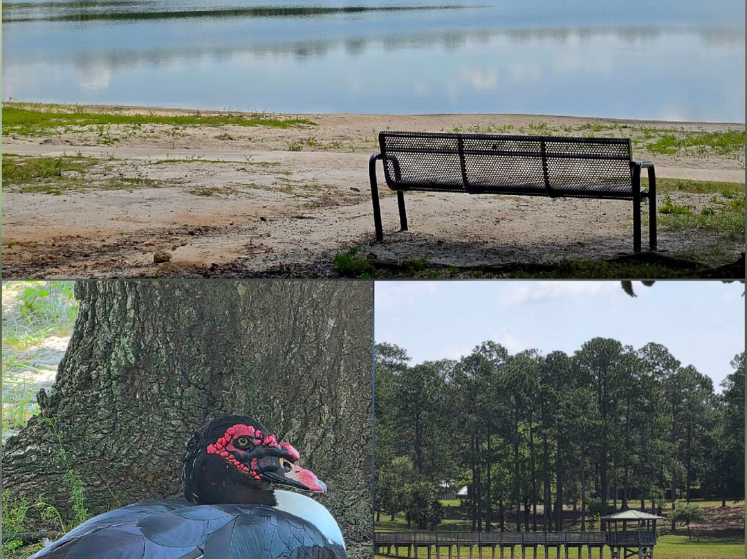 Circle Drive Historic District-DeFuniak Springs必去景点