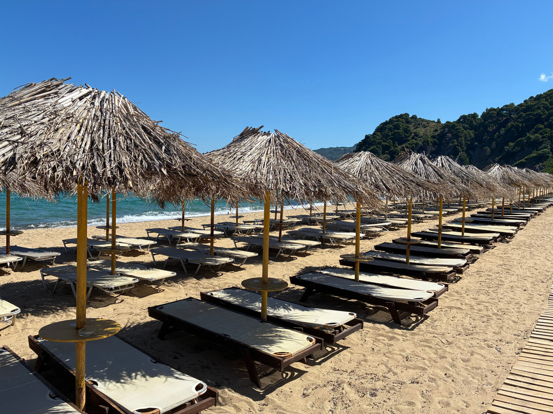 Megalos Aselinos Beach-斯亚索斯必去景点