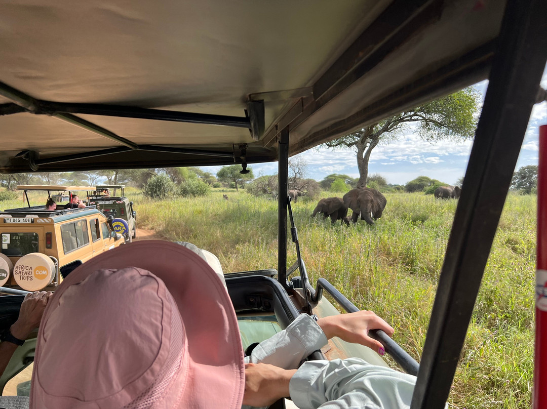 Zara Tanzania Adventures-莫西必去景点