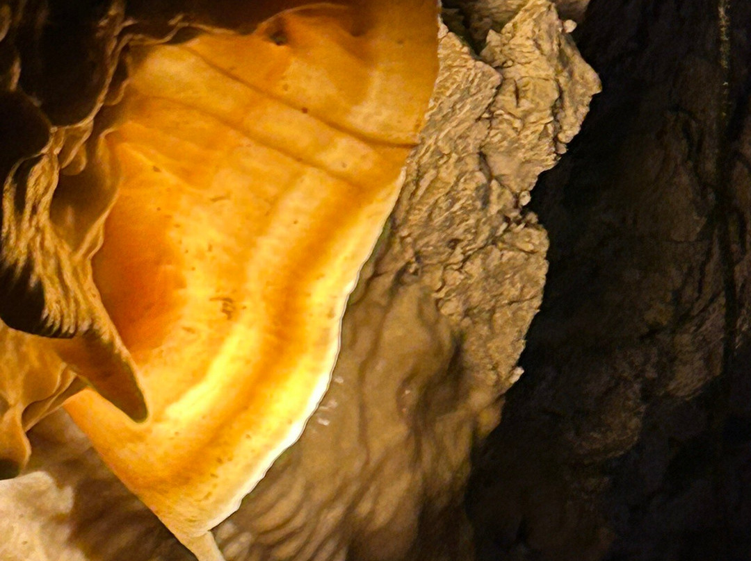 Kaikōura Cave Tours-Kaikoura必去景点