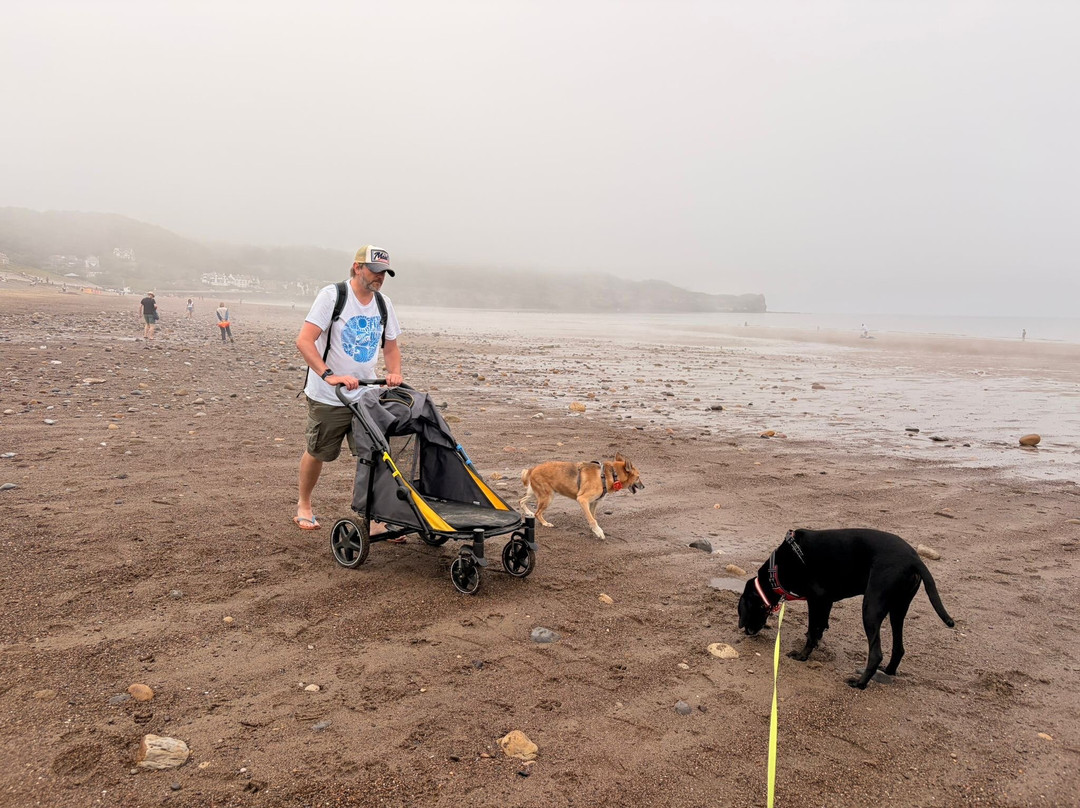 Sandsend Beach-Sandsend必去景点