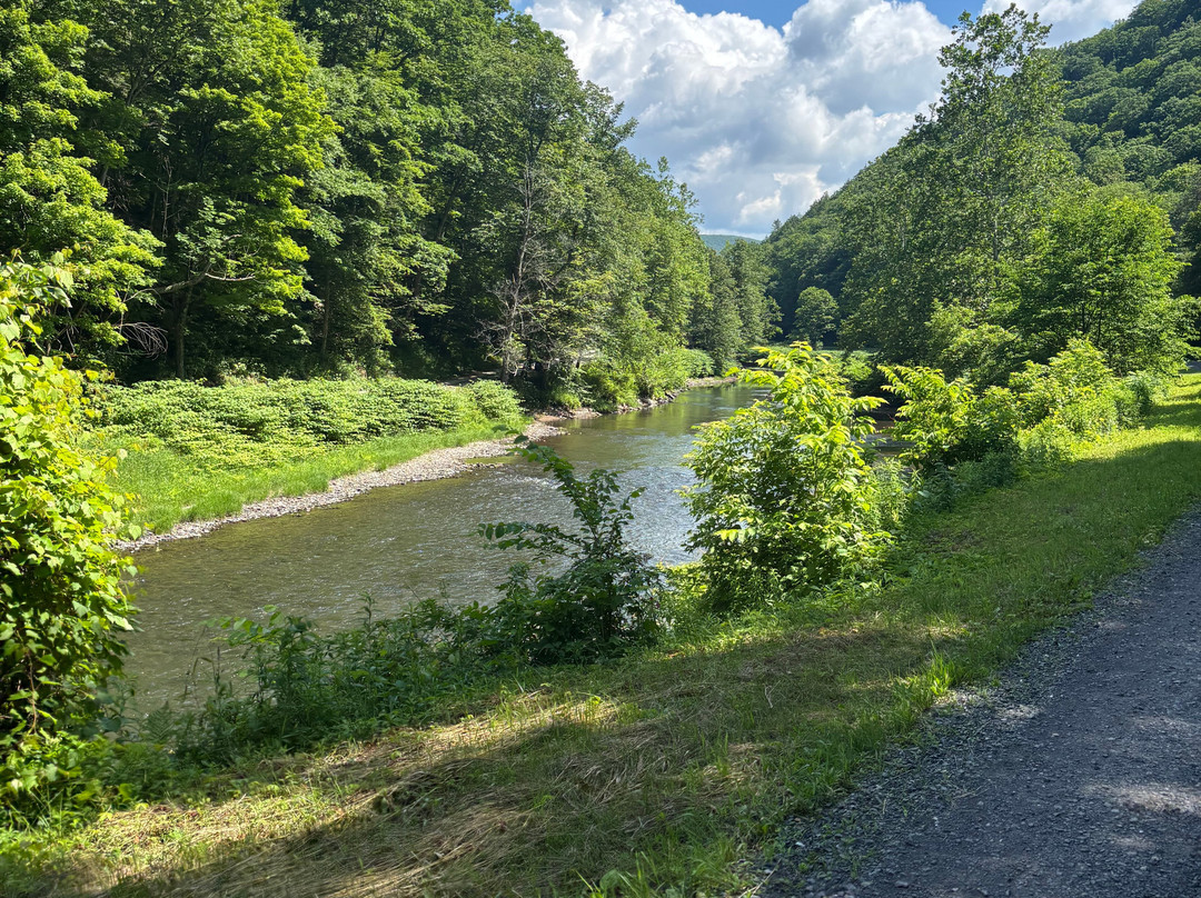 Ole Covered Wagon Tours-Wellsboro必去景点