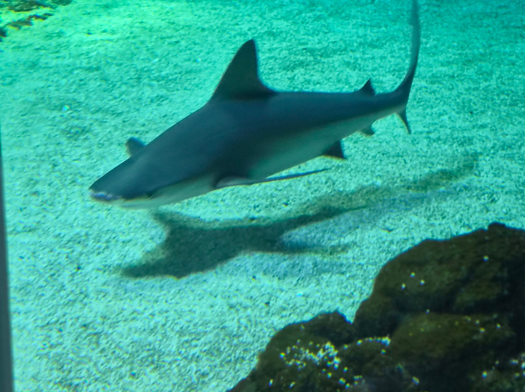 Orientarium Zoo Lodz-罗兹必去景点
