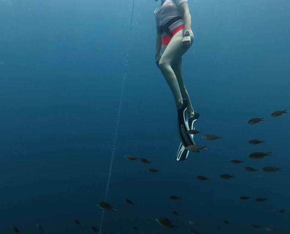 Deep Turtle Plongee-Les Anses d'Arlet必去景点