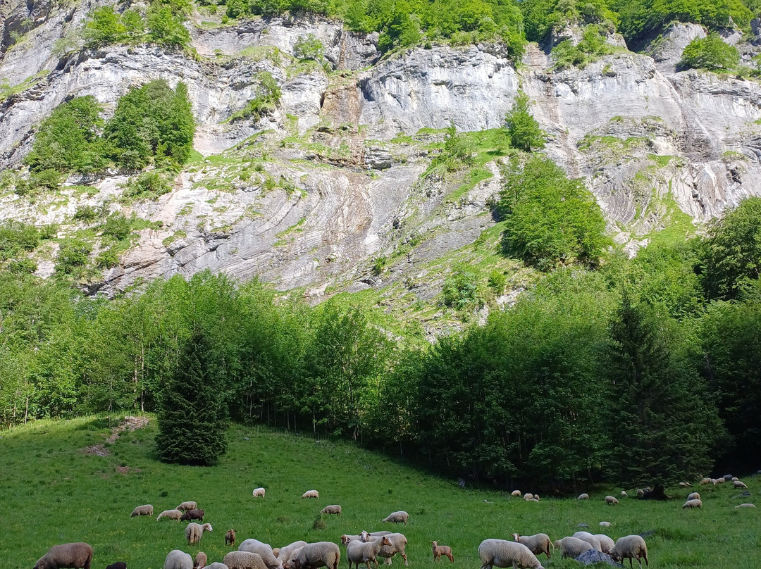 Reserve Naturelle-Sixt-Fer-a-Cheval必去景点