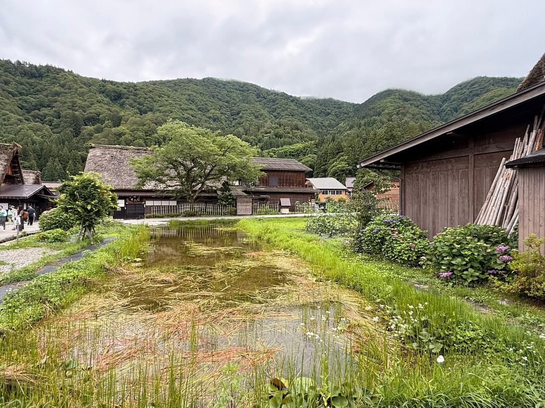 Shirakawago-白川村必去景点