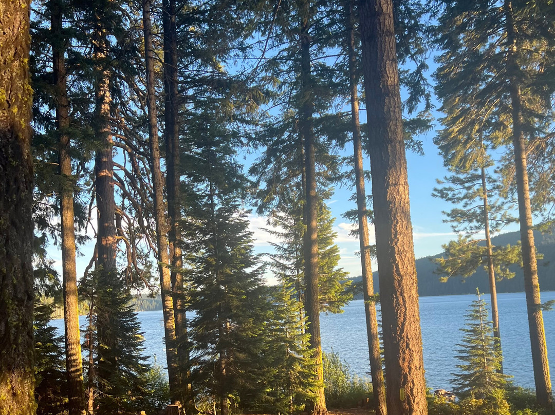 Lake of the Woods Resort主图