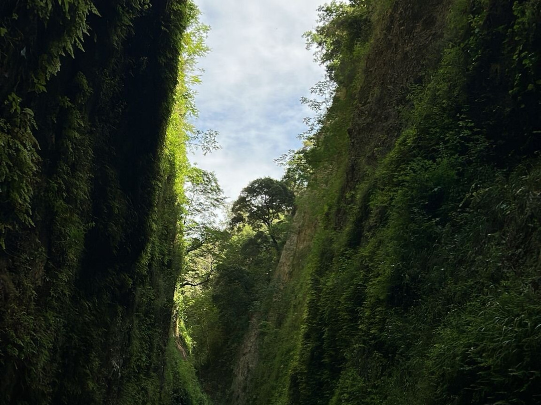 Riserva Naturale Regionale delle Valli Cupe-Sersale必去景点
