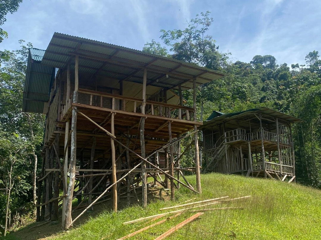 Bukit Lawang - Jungle Trekking Sumatra-武吉拉旺必去景点