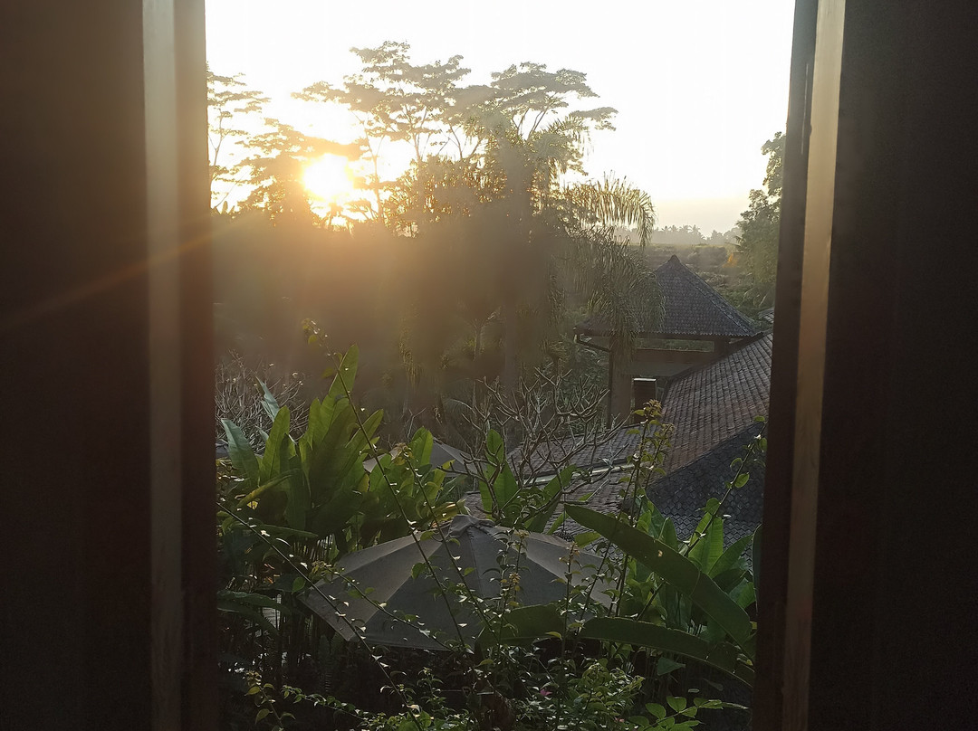 Lumina Wellness Retreat