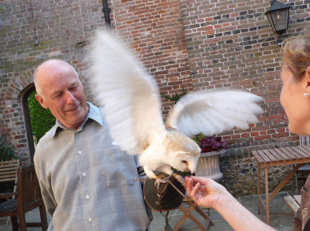 Hampshire Hawk Walks-Four Marks必去景点
