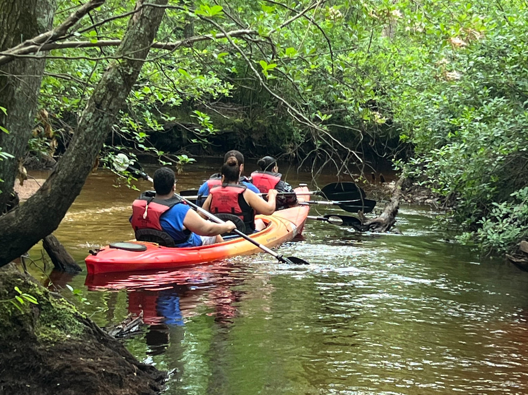 Pinelands Adventures-Shamong必去景点