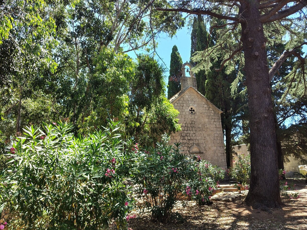 Lokrum Island-杜布罗夫尼克必去景点