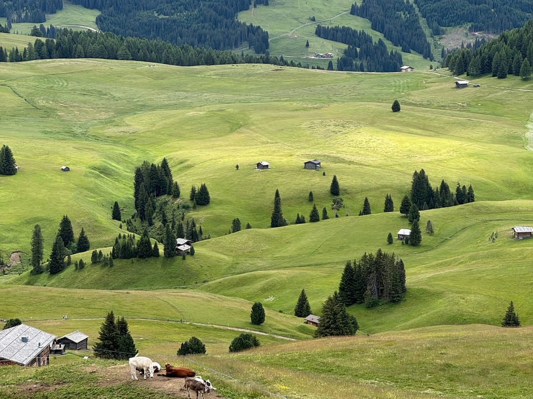 Alpe di Siusi-Alpe di Siusi必去景点