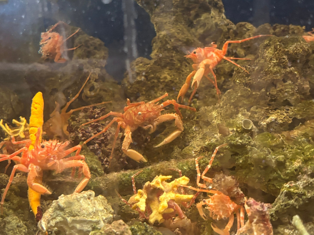 Aquarium Of Faliraki (Aquaworld)-Faliraki必去景点