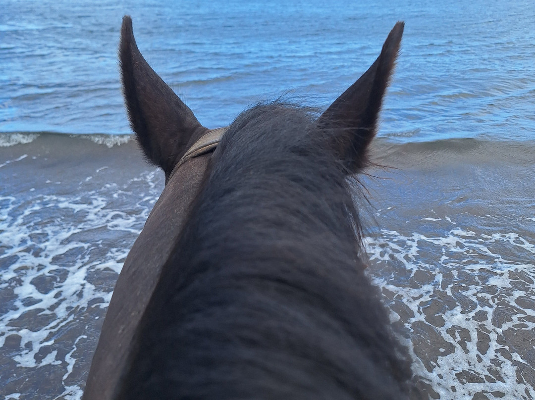 Lanzarote a Caballo-兰萨罗特必去景点