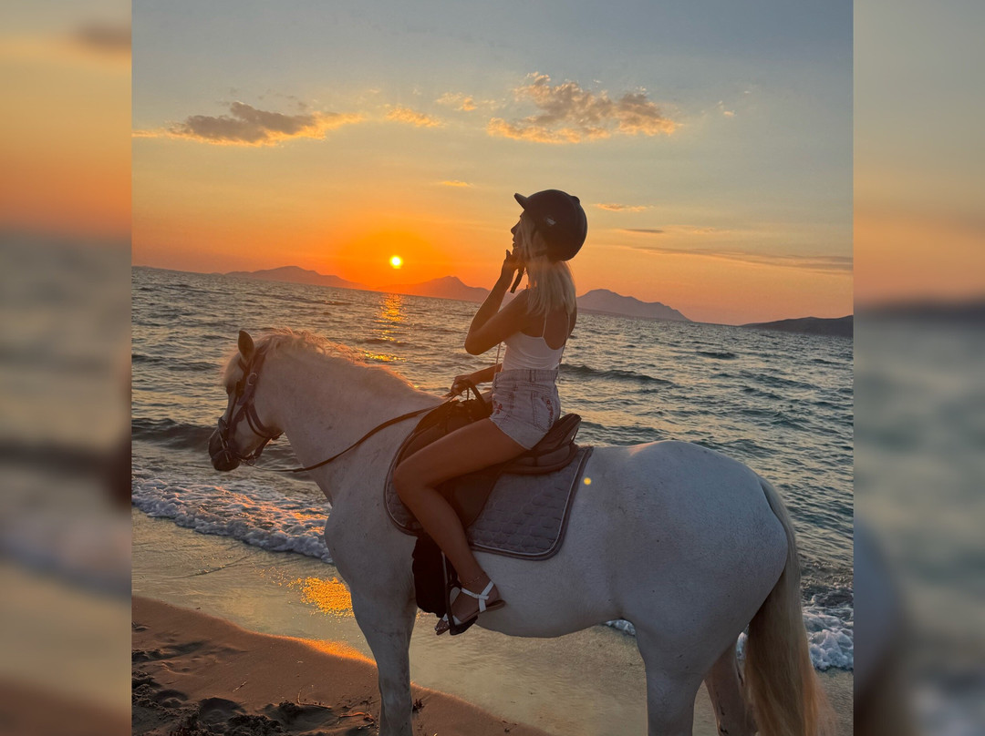 Erika's Horse Farm Kos-Marmari必去景点