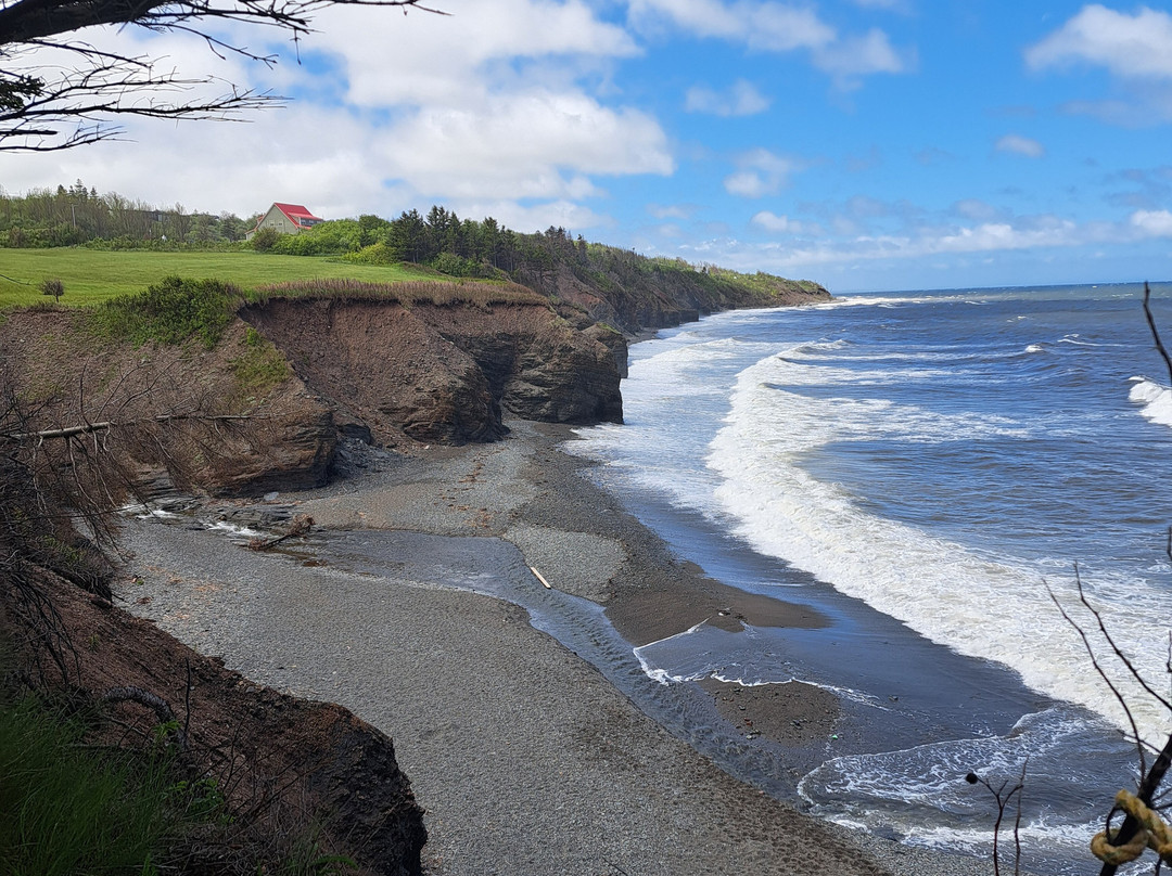 Arisaig Provincial Park-安蒂岗尼希必去景点
