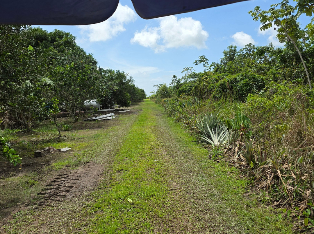 Touring Guyana-乔治城必去景点