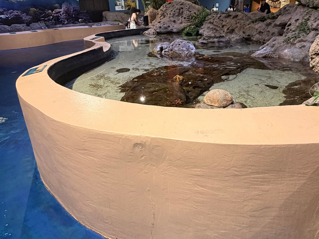 Living Shores Aquarium-Glen必去景点