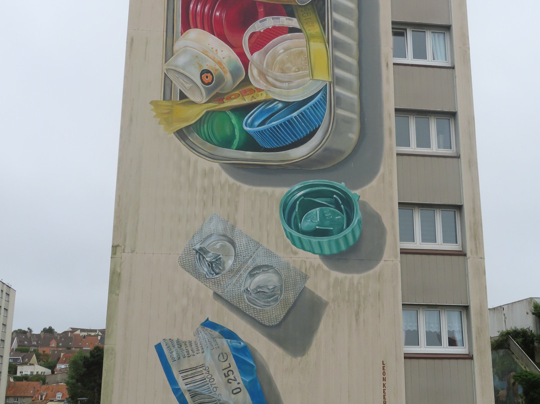 Visites Guidée Street Art-滨海布洛涅必去景点