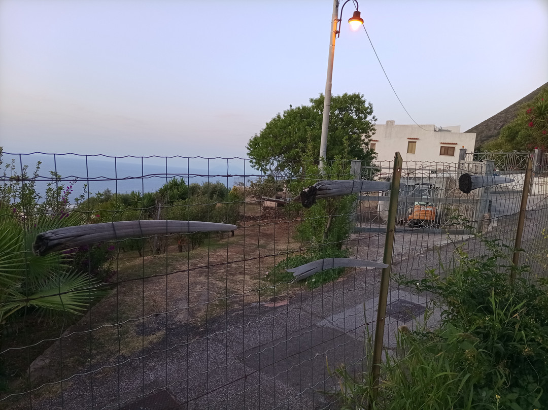 Fenech Azienda Agricola Biologica-Malfa必去景点